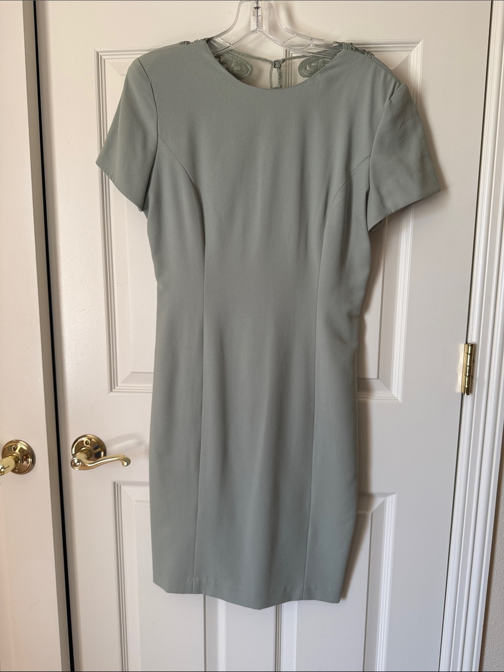 Maggy London size 6 Women's Short Sleeve Sheath Dress with lace in Sage Green